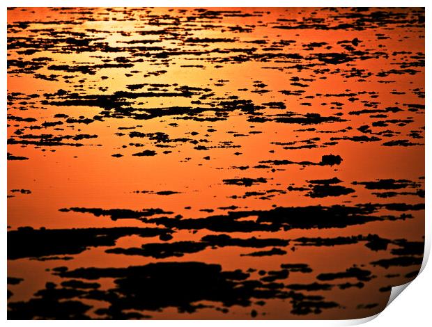 Golden Sunset over water Print by mark humpage