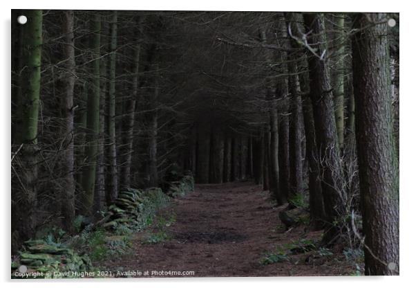 Dark woodland path Acrylic by David Hughes