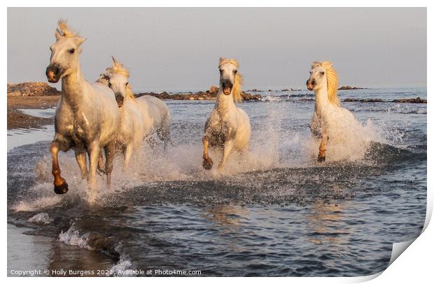 'Dancing Camargue Horse: France's Oceanic Ballet' Print by Holly Burgess