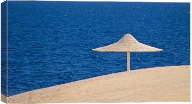 Beach sand sea and parasol Egypt Canvas Print by mark humpage