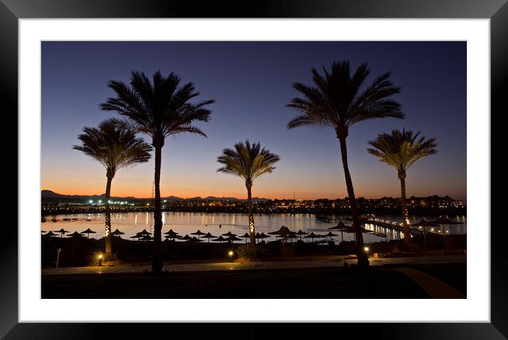 Beach Sea and Palm trees in sunset with blue sky, Red Sea, Egypt Framed Mounted Print by mark humpage