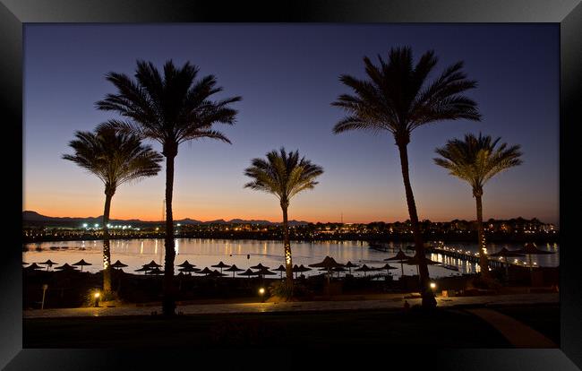 Beach Sea and Palm trees in sunset with blue sky, Red Sea, Egypt Framed Print by mark humpage