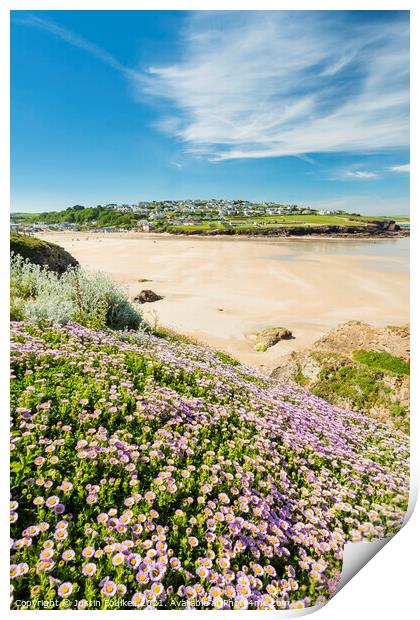Wildflowers above Polzeath beach, Cornwall Print by Justin Foulkes