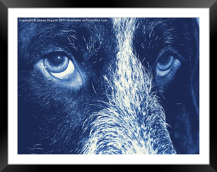 The Eyes Have It Framed Mounted Print by James Hogarth