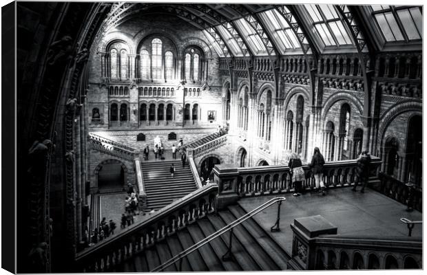 Natural history museum London Canvas Print by chris smith