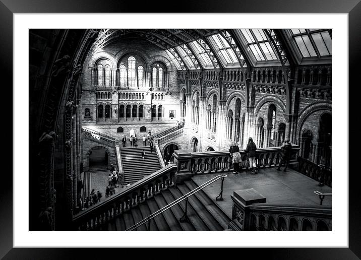 Natural history museum London Framed Mounted Print by chris smith