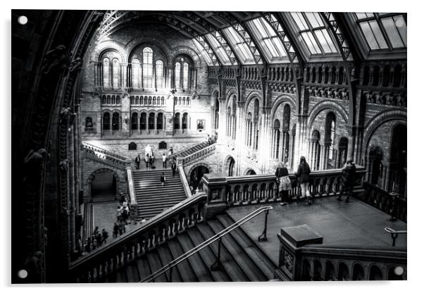 Natural history museum London Acrylic by chris smith