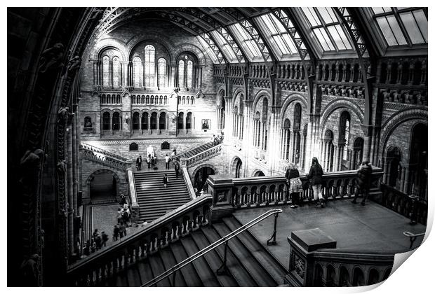 Natural history museum London Print by chris smith