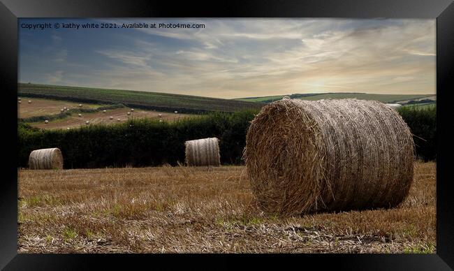 Straw bails, waiting to be collected in a field Co Framed Print by kathy white