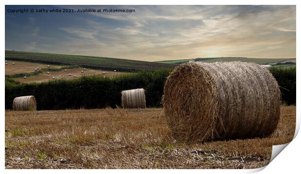 Straw bails, waiting to be collected in a field Co Print by kathy white