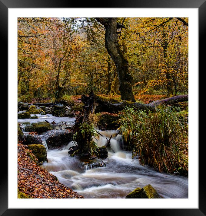  autumn woods, long exposure cornwall  Framed Mounted Print by kathy white