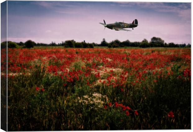 Hawker Hurricane flying low over a field of poppies at dusk. Digital art. Canvas Print by Peter Bolton