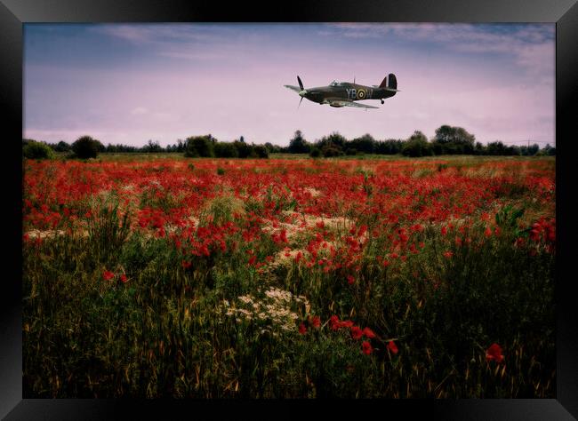 Hawker Hurricane flying low over a field of poppies at dusk. Digital art. Framed Print by Peter Bolton
