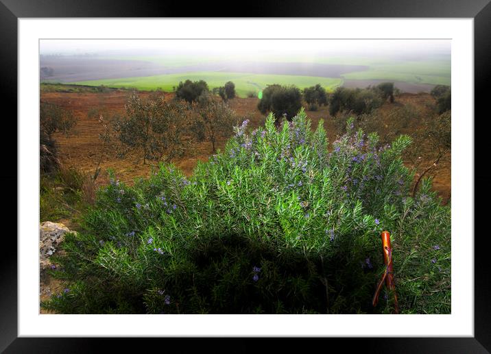 Landscapes of Carmona - Seville - The so called Alcor Framed Mounted Print by Jose Manuel Espigares Garc