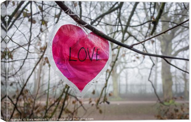 A love heart in a tree Canvas Print by Sara Melhuish