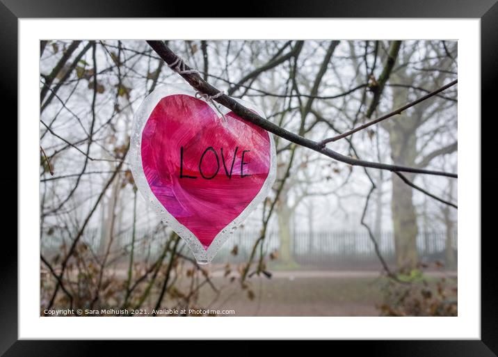 A love heart in a tree Framed Mounted Print by Sara Melhuish