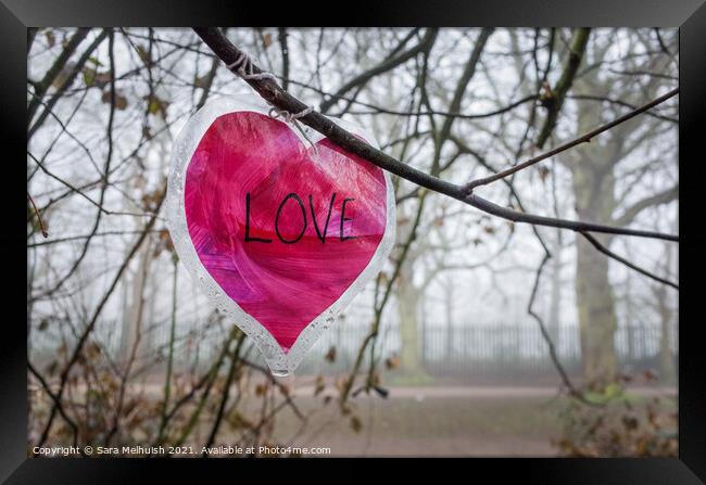 A love heart in a tree Framed Print by Sara Melhuish