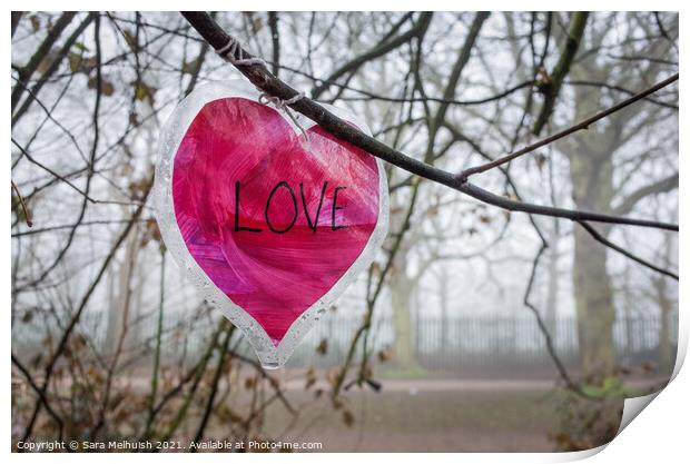 A love heart in a tree Print by Sara Melhuish