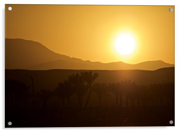 Golden Sunset Sunrise  Acrylic by mark humpage
