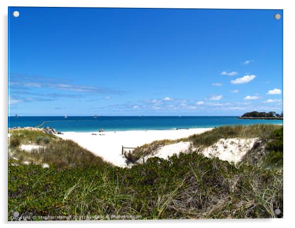 White Sand of Western Australi Acrylic by Stephen Hamer