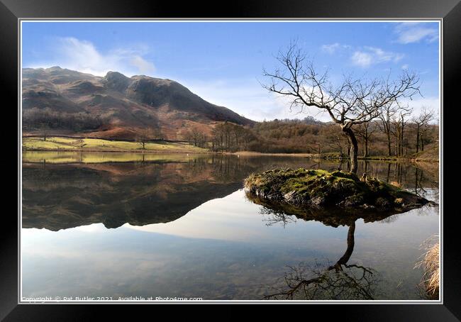 Reflection on the lake Framed Print by Pat Butler