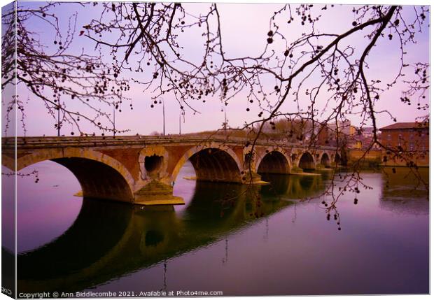 Pont-Neuf bridge over the Garonne river in Toulous Canvas Print by Ann Biddlecombe
