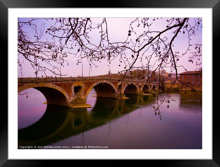 Pont-Neuf bridge over the Garonne river in Toulous Framed Mounted Print by Ann Biddlecombe