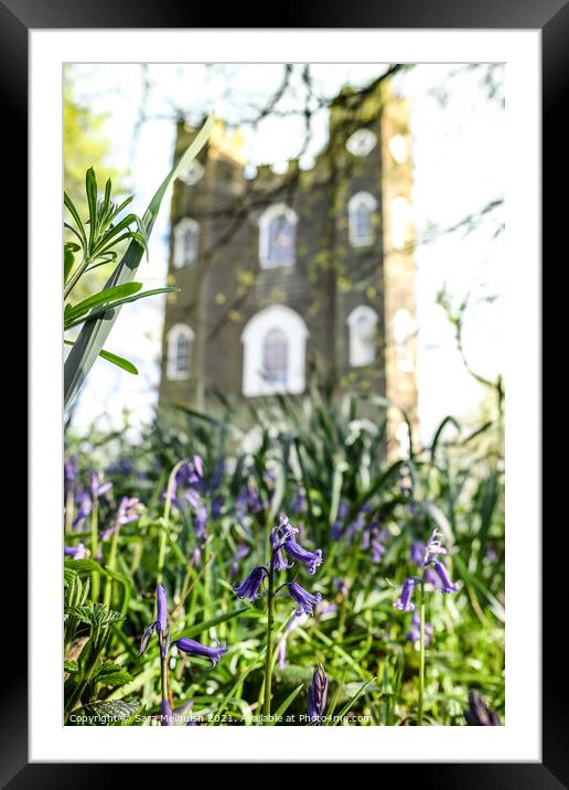 Bluebells and castle Framed Mounted Print by Sara Melhuish