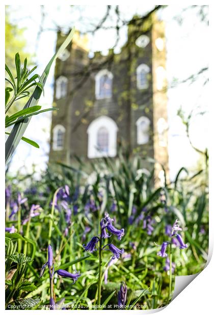 Bluebells and castle Print by Sara Melhuish