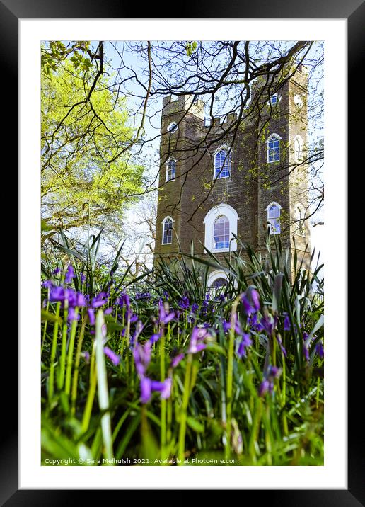 Sevendroog Castle and bluebells Framed Mounted Print by Sara Melhuish