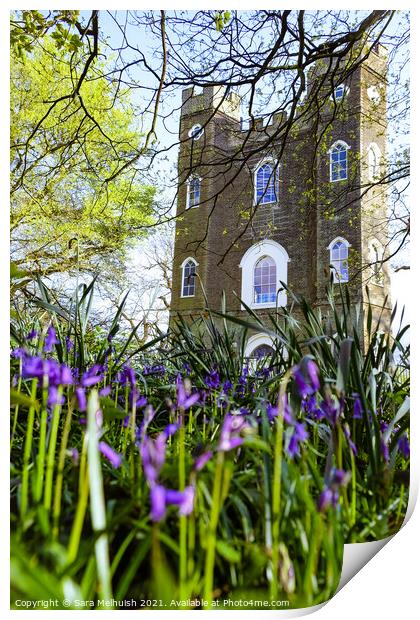 Sevendroog Castle and bluebells Print by Sara Melhuish