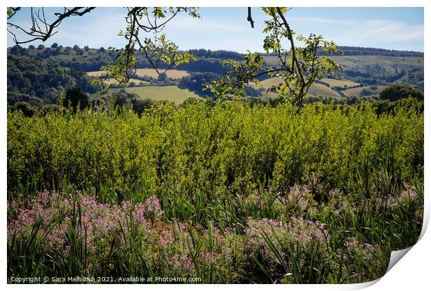 Wildflowers Print by Sara Melhuish