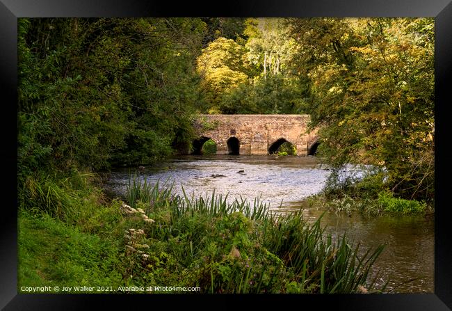 The ancient bridge at Lower Heyford Framed Print by Joy Walker