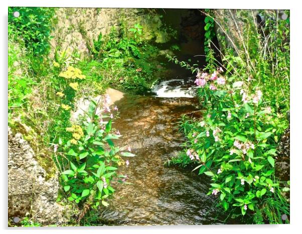 Flowers on the banks of a stream Acrylic by Stephanie Moore