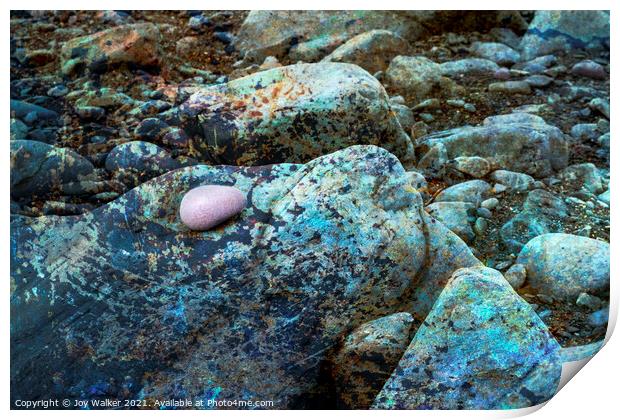 The rocky foreshore of a beach with a single ink pebble Print by Joy Walker