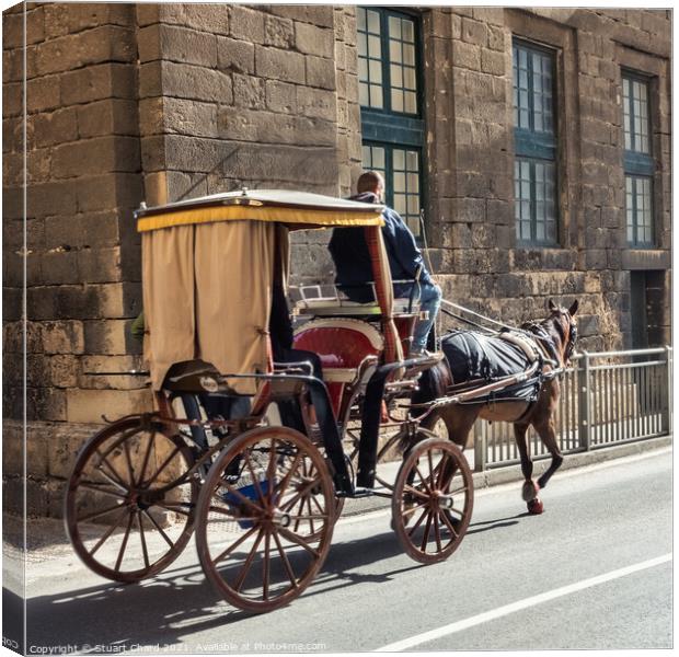 Horse and carriage in Valetta Malta Canvas Print by Stuart Chard