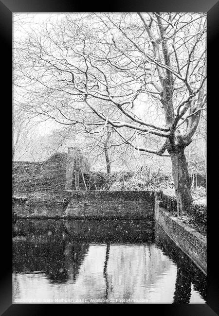 snow covered tree over moat Framed Print by Sara Melhuish