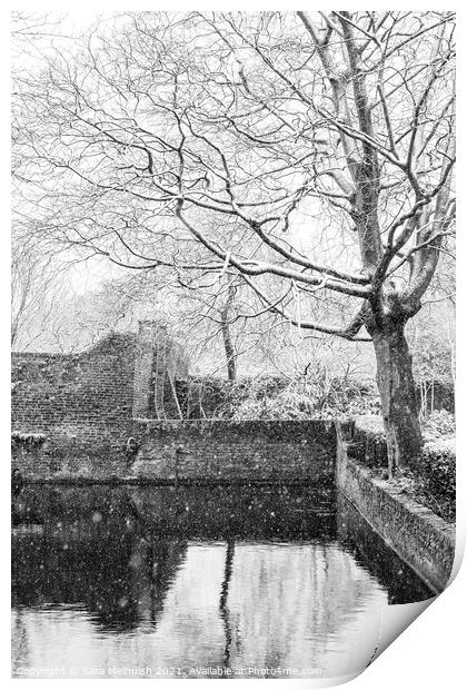 snow covered tree over moat Print by Sara Melhuish