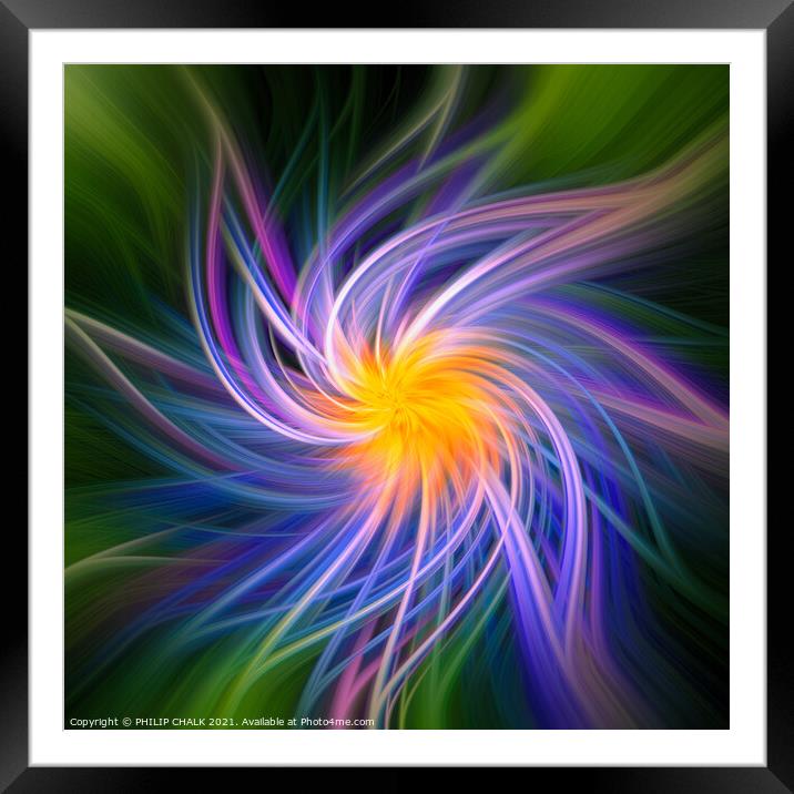 Flower abstract 396  Framed Mounted Print by PHILIP CHALK