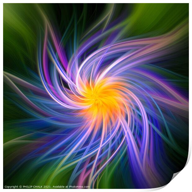 Flower abstract 396  Print by PHILIP CHALK