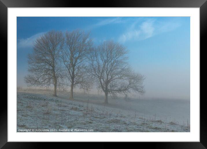 Three trees on a frosty and misty morning Framed Mounted Print by JUDI LION