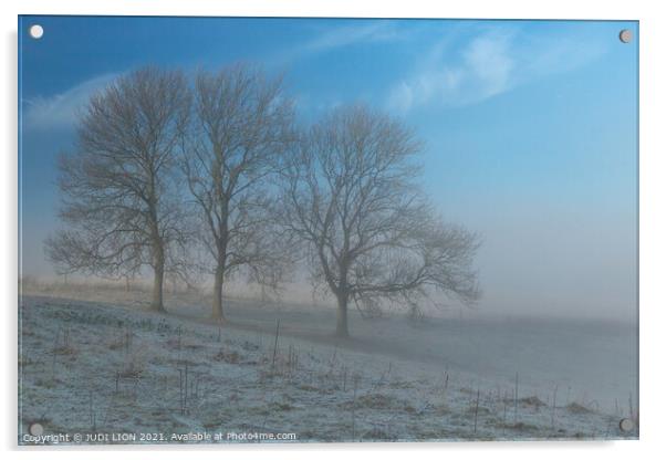 Three trees on a frosty and misty morning Acrylic by JUDI LION