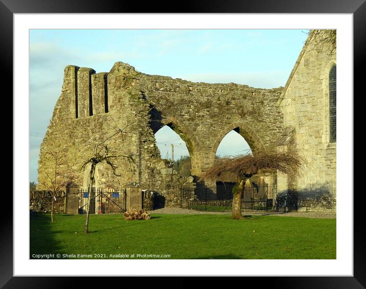 Baltinglass Abbey, Co. Wicklow, Ireland. Framed Mounted Print by Sheila Eames