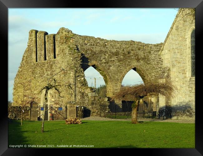 Baltinglass Abbey, Co. Wicklow, Ireland. Framed Print by Sheila Eames