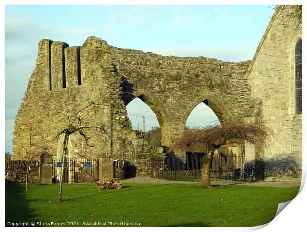 Baltinglass Abbey, Co. Wicklow, Ireland. Print by Sheila Eames