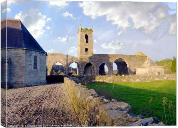 Baltinglass Abbey and Church, Co. Wicklow, Ireland Canvas Print by Sheila Eames