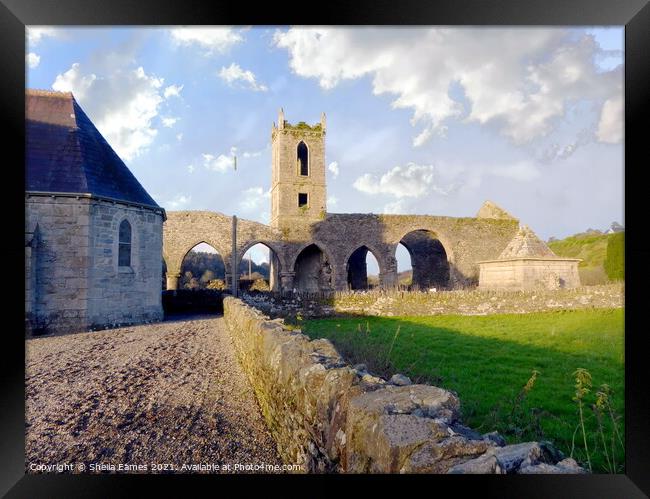 Baltinglass Abbey and Church, Co. Wicklow, Ireland Framed Print by Sheila Eames