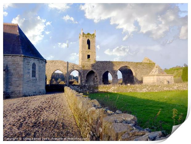 Baltinglass Abbey and Church, Co. Wicklow, Ireland Print by Sheila Eames