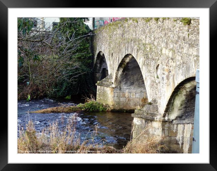 Baltinglass Bridge, Co. Wicklow, Ireland Framed Mounted Print by Sheila Eames