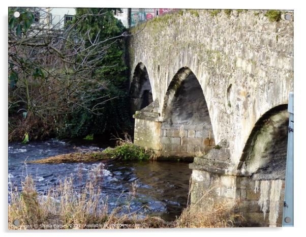 Baltinglass Bridge, Co. Wicklow, Ireland Acrylic by Sheila Eames